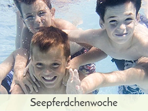 portfolio-seepferdchen